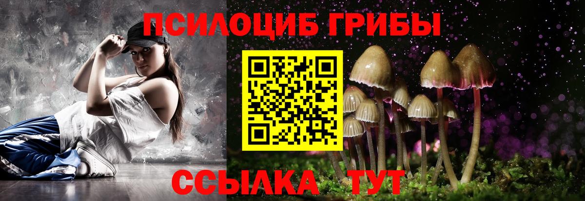 Галлюциногенные грибы Psilocybine cubensis Калининград